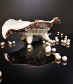 Jūros kriauklė su perlais